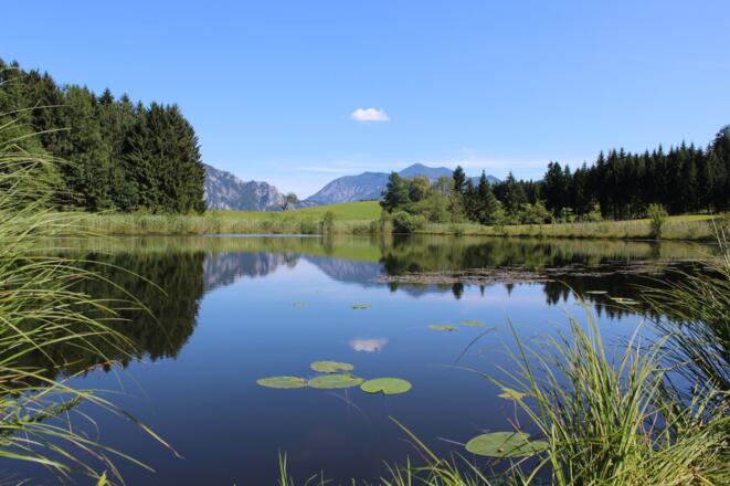 2020_Egelsee_Lisa Hemetsberger