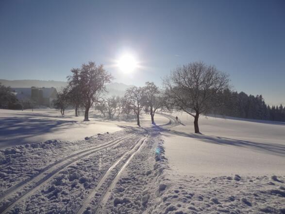 Loipe Nussdorf-Oberwang