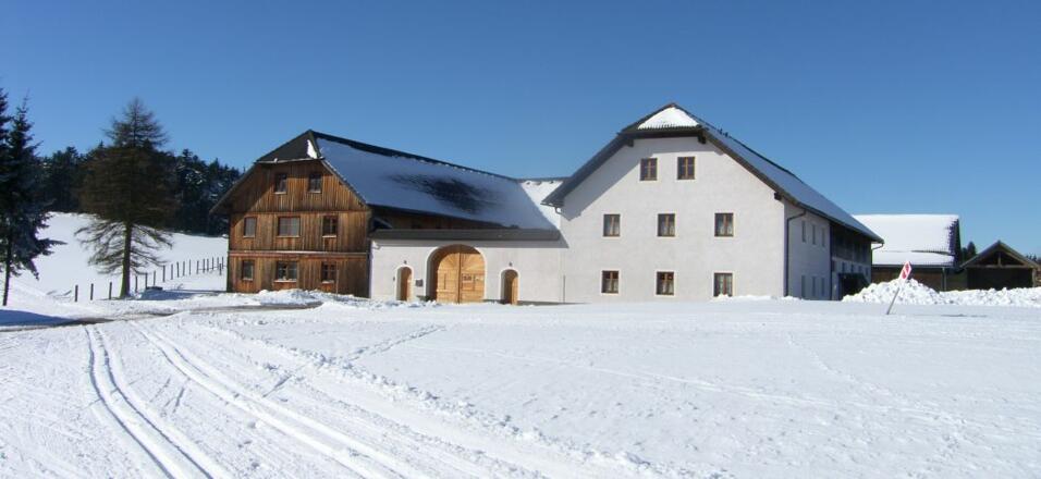 Loipe direkt vor dem Haus