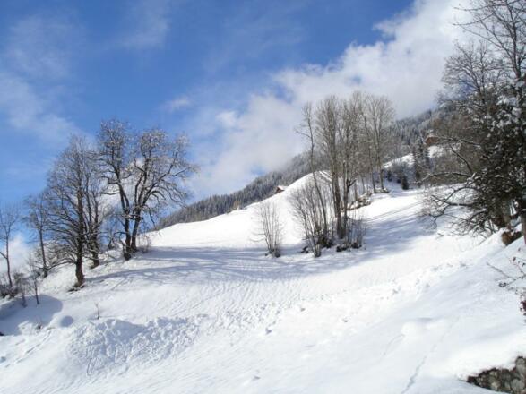 Wintermärchen Chalet Alte Mühle