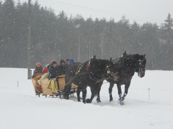 seiberl kutsche winter