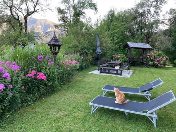 Tierische Begleiter am Bucherlhof