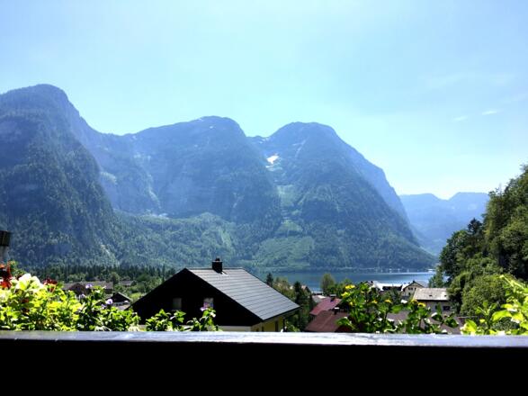 Zimmer 3 Ausblick auf den Sarsteiner Wald
