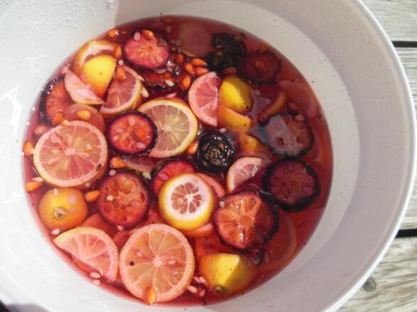 Selbstgemachter Zitronensirup