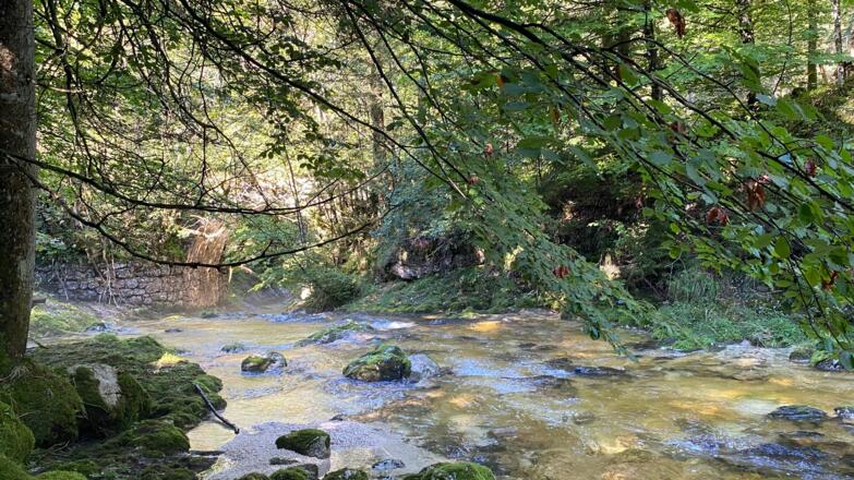 Gimbach Kaskaden Weissenbach