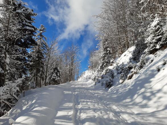 Weg zur Aussichtsplattform im Winter