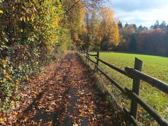 Weg 1 bergab bei Ehren