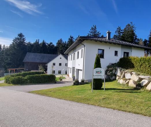 Schöllhammer Wild