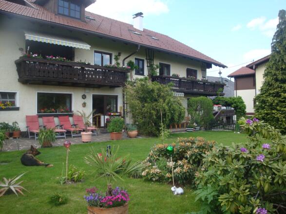 Haus