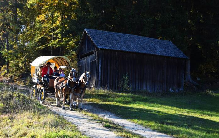 Kutschenfahrt