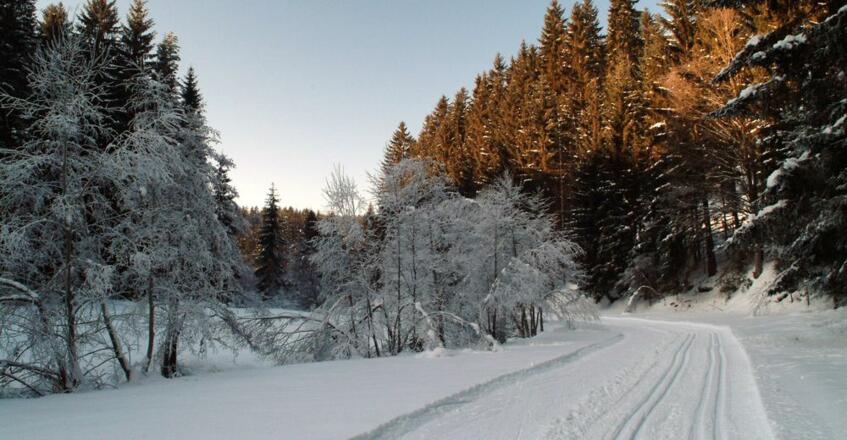 Loipe Oberneukirchen