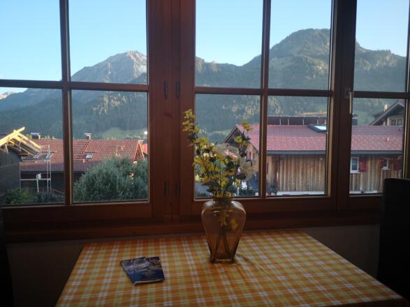 Aussicht aus dem Wohnzimmer 1.Stock