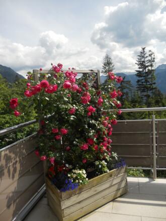 Sonnenterrasse mit herrlichem Panoramablick