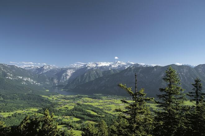 Blick auf das Goiserertal