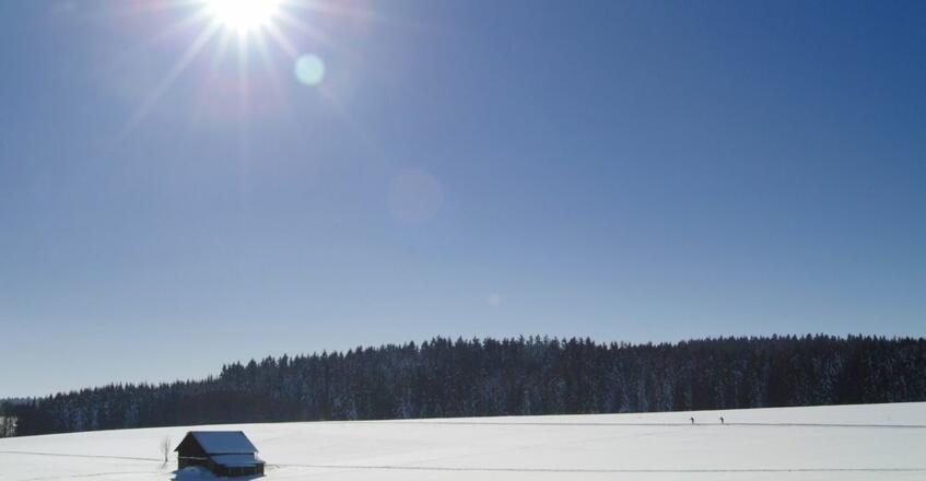 loipe Oberneukirchen