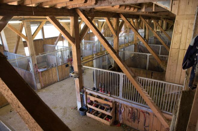 Ponyhof_Gutau_Stall_Foto-von-Website_Sportderbewegtat