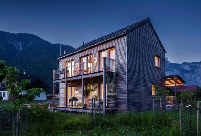 Schafe The Green Lodge