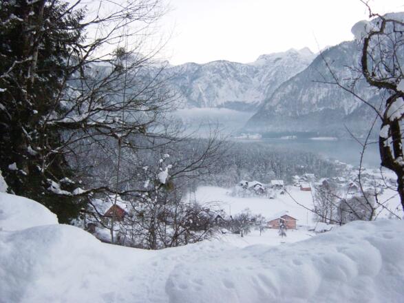 Ausblick auf den Hallstättersee