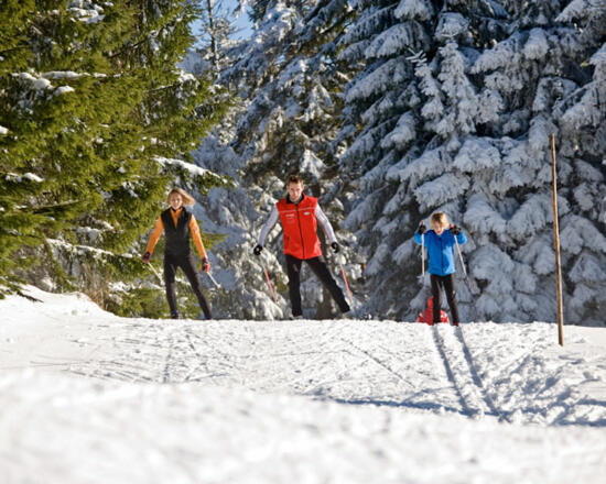 Langlaufen in der Ferienregion Böhmerwald