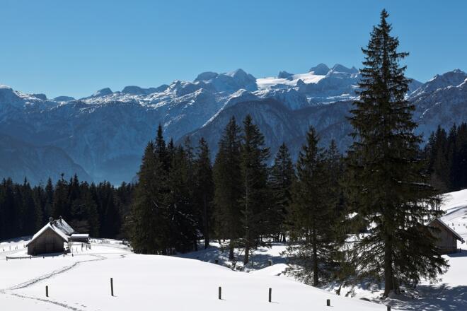 Höhenloipe am Predigstuhl
