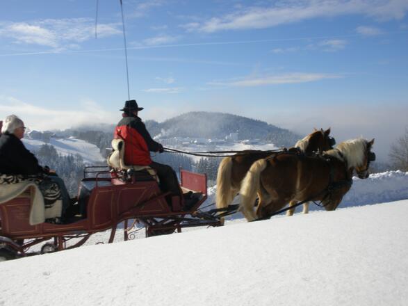 Schlittenfahrt 2