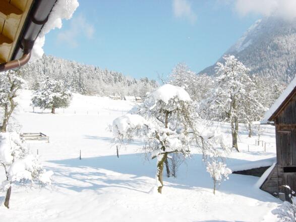 Aussicht vom Balkon