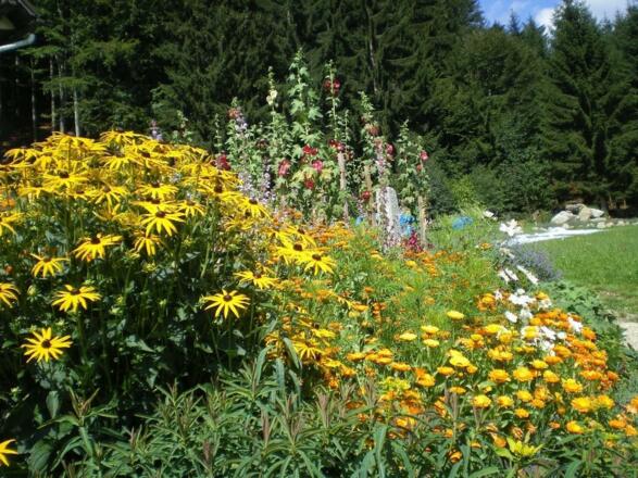 Kräutergarten auf der Kräuteralm