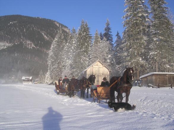 Pferdeschlittenfahrten Gosau