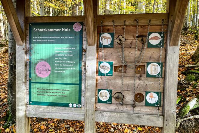 ttt_1123_mn_waldlehrpfad-laerchenwald_tegernsee_0019