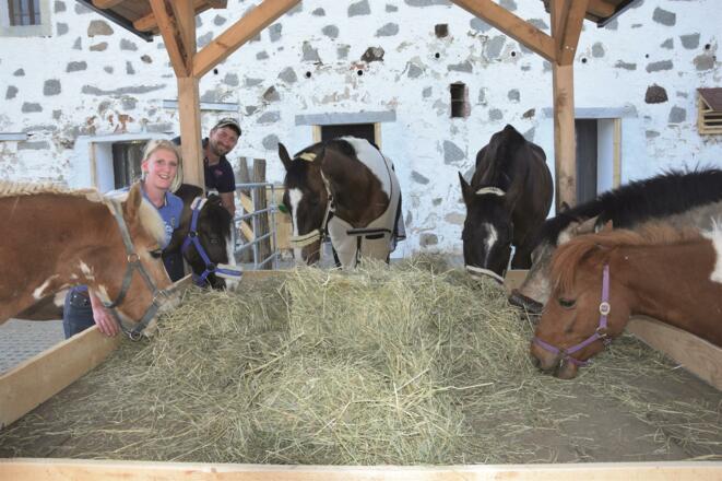 unsere Pferde im Stall