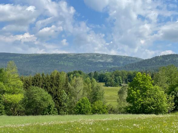 Blick zum Steinernen Meer