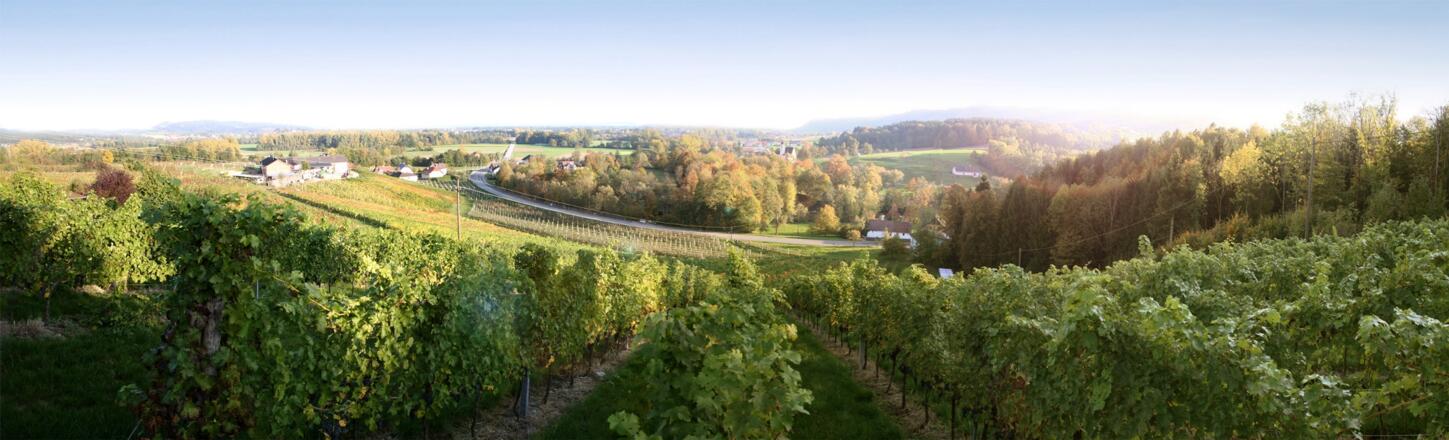 Weingut Aichinger Panorama