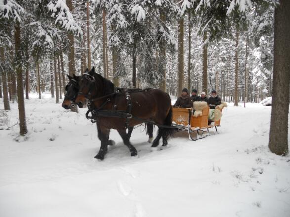 seiberl kutsche winter wald