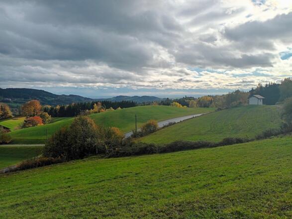 Blick nach Süden bei Bühl