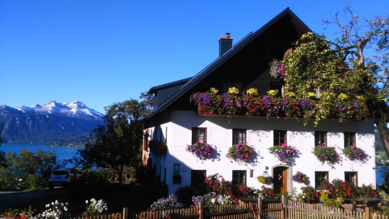 Bauernhof