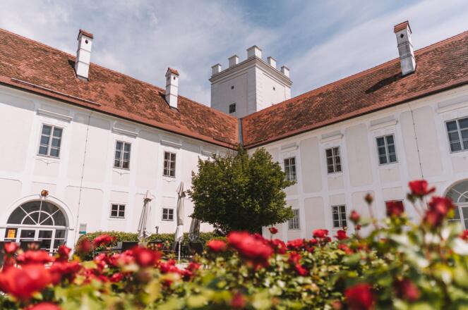 Schloss Ennsegg
