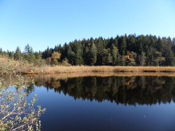 2019- Herbsttag am Egelsee Sandra Mayr