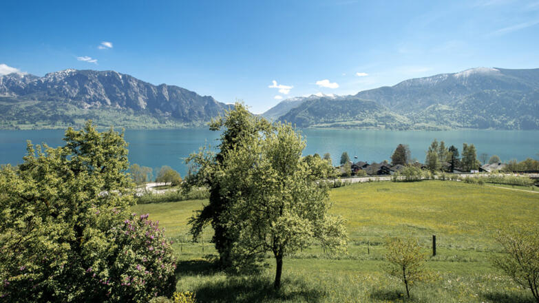 Ferienwohnung Scheichl_Ausblick auf den Attersee