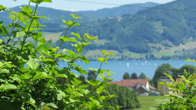 Ferienhaus Malerhügel