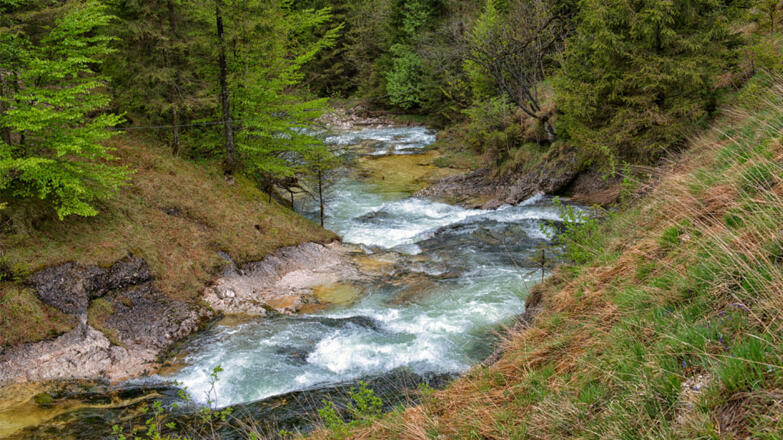 Gimbach Kaskaden, Steinbach am Attersee