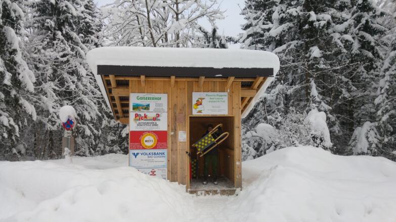 Rodeln zum Ausborgen für die Trockentann Rodelbahn in Bad Goisern