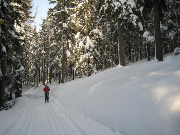 Ausgangspunkt hinter dem Gemeindezentrum