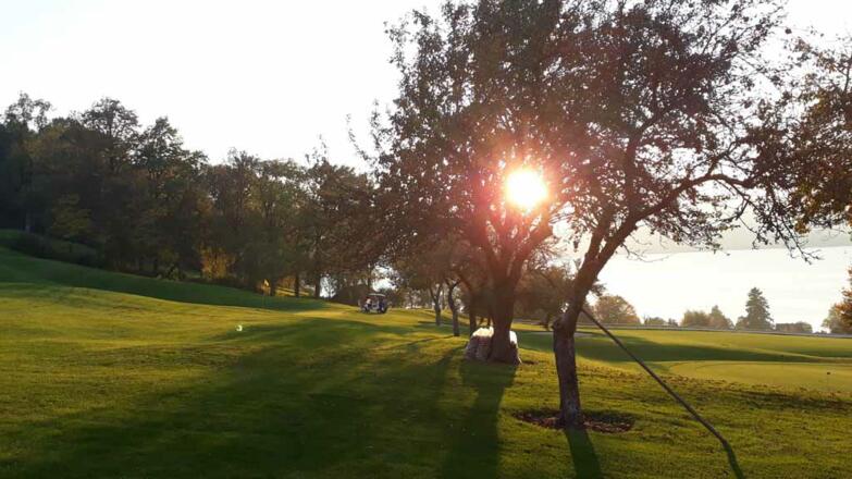 2018 Sonnenuntergang Avocado Johanna tour