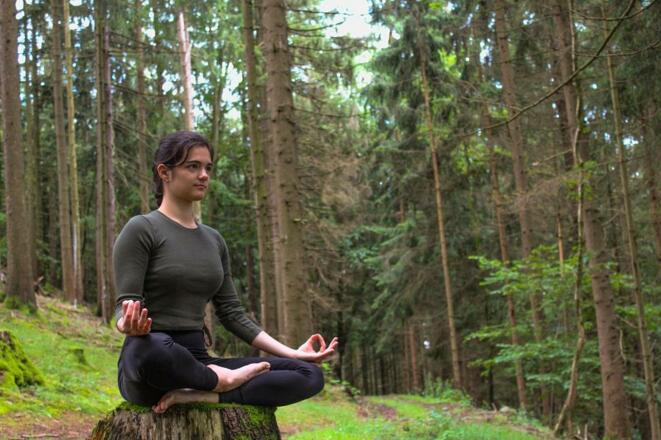 Meditieren im Wald der Böhmerwaldregion