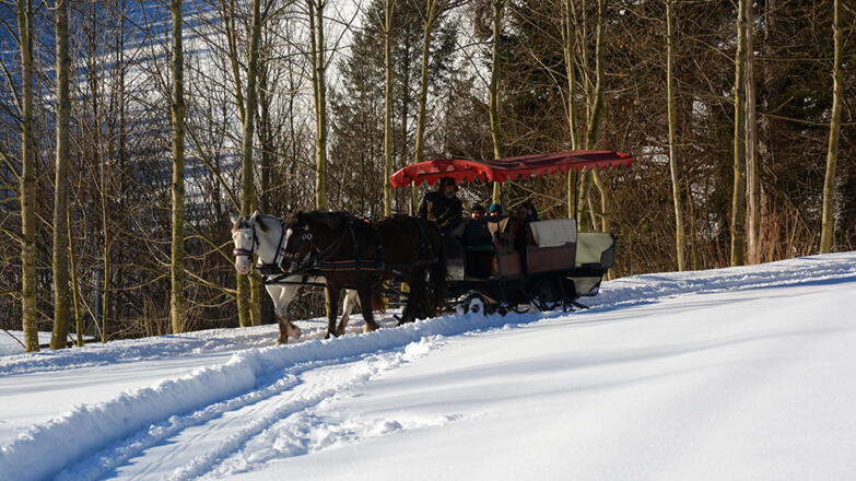 DSC_0130_tourdata passend_(c) Georgs Kutscher Hof