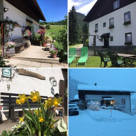 Four Seasons