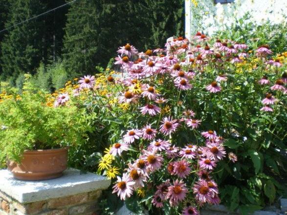 Hausgarten