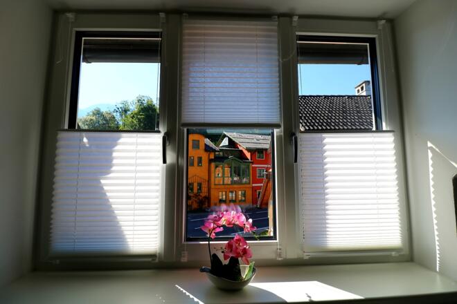Ausblick