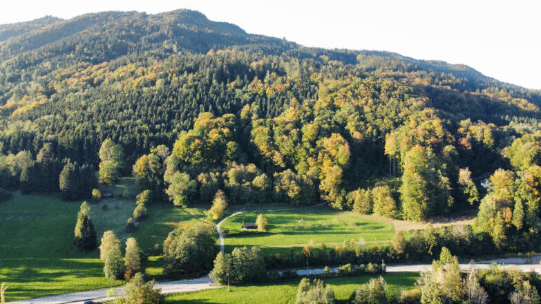 Einstieg Edelkastanienwald in Unterach am Attersee