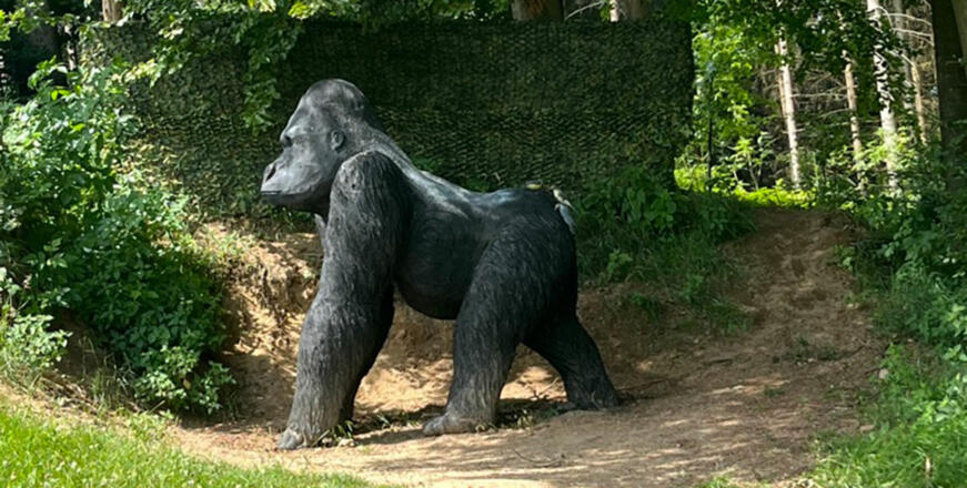 Bogensportziel Gorilla